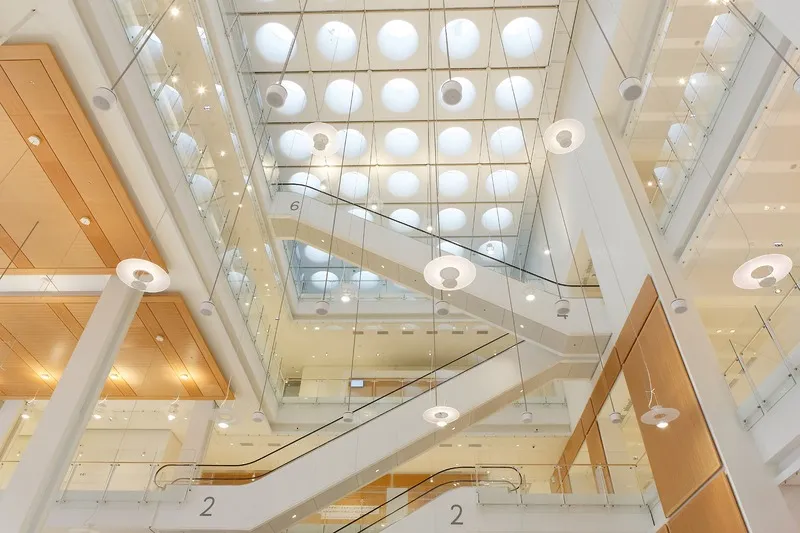 TJ Paris — Renzo Piano